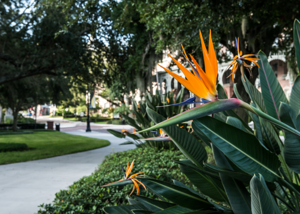 #20. Tampa, FL